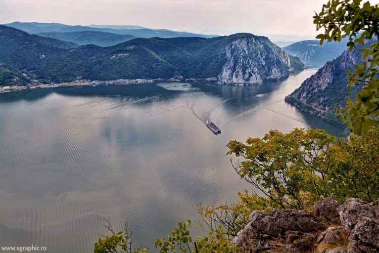 13662655_10153876589586376_1774084143_o