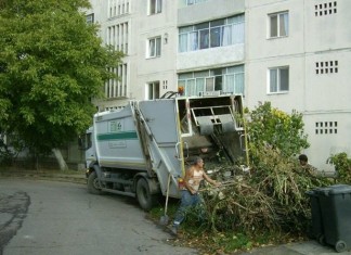 Curăţenia Generală de Primăvară în Timișoara