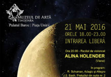 Noaptea Muzeelor la Muzeul de Arta Timisoara