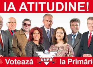 Stimati timisoreni (P)