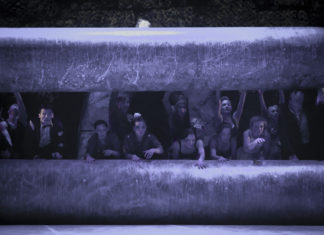 Ultimele două zile ale FEST-FDR2016 aduc spectacole fabuloase la Timișoara