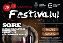 Ce trupe si artisti vor concerta la Festivalul Vinului Timisoara