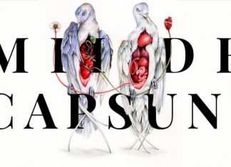 Mii de căpșuni – Poezie de Andrei Forte