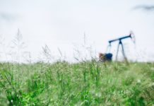 VISITBANAT – o inițiativă aparte de promovare a Banatului