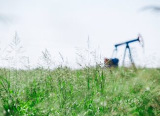 VISITBANAT – o inițiativă aparte de promovare a Banatului