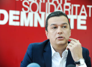 PSD Timis – succesul unei echipe de tineri