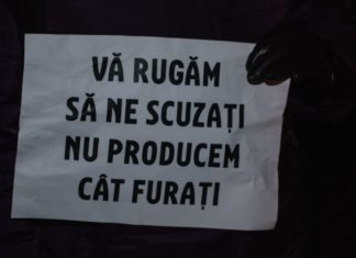 Proteste la Timisoara impotriva legii gratierii. Cate persoane au fost in Piata Operei ? GALERIE FOTO cu protestatarii