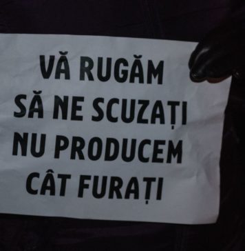 Proteste la Timisoara impotriva legii gratierii. Cate persoane au fost in Piata Operei ? GALERIE FOTO cu protestatarii