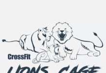 NOU! Timișorenii se antrenează în „cușca cu lei”