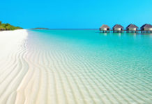 Agențiile de turism din Timișoara se pot promova GRATUIT pe cea mai mare pagină socială din oraș! Vezi cum poți publica pe Orașul Timișoara ofertele tale de vacanță