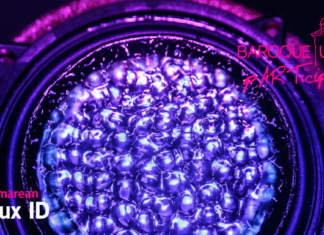 Artistul timișorean Vlad Jelmărean, masterand la UVT, debut la Baroque||Urban