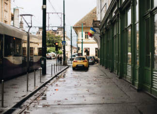 PSD Timisoara cere primariei mai multa implicare in curatirea orasului de urmele lasate de furtuna de duminica