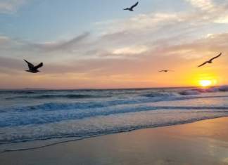 Creștere importantă pentru traficul pe Aeroportul Timișoara pe durata verii