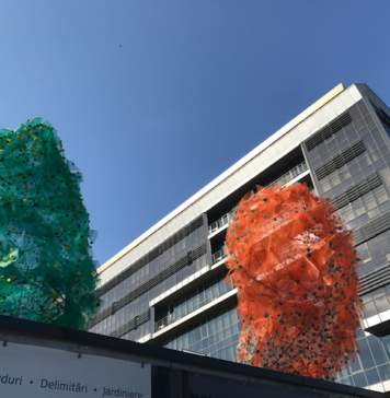 Instalart/ Sculptura/ 000 s-a mutat în parcarea de la Direcția Finanțelor Publice Timișoara