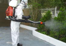 Dezinsecția în Timișoara trebuie urgentată !