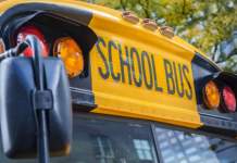 Stă în puterea Parlamentului să respingă OUG nr. 51/2019, prin care transportul județean a fost eliminat din sfera serviciilor publice