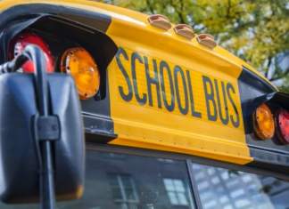 Stă în puterea Parlamentului să respingă OUG nr. 51/2019, prin care transportul județean a fost eliminat din sfera serviciilor publice