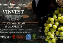 Cum aduce un plus de imagine titlului de Capitală Culturală Europeană un eveniment despre vinuri desfășurat în Timișoara