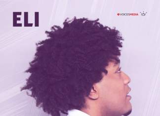 Timișoreanul Eli alături de Oana Radu într-o piesă emoțională – Bluza Gri