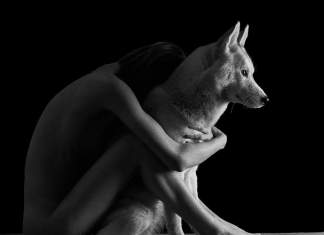 Lupus et Lumen – expoziție de nuduri artistice la Galeria de Artă a Primăriei Timișoara