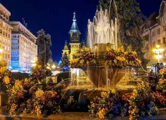 Timișoara nu se închide!