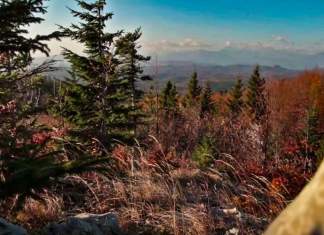 Cod galben de furtuni în județul Timiș: averse, grindină și descărcări electrice