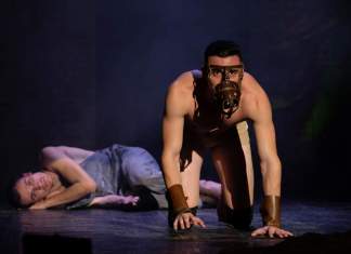 FEST – FDR 2019: ultimele zile au un program fabulos