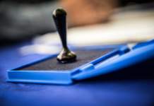 AUR conduce în Timiș după numărarea voturilor din jumătate din secțiile de votare. Cine intră în Parlament la situația de acum