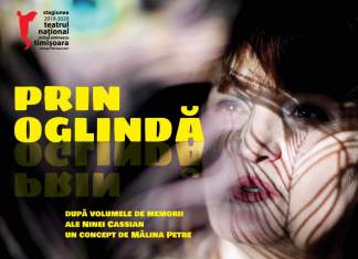 Premieră la TNTm: Prin oglindă, un spectacol despre Nina Cassian