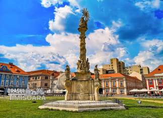 Evenimente culturale și manifestări organizate de CJ Timiș