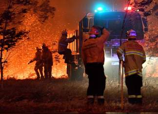 Principala cauză a incendiilor din Australia : politica „verde” a guvernelor din ultimii 20 de ani