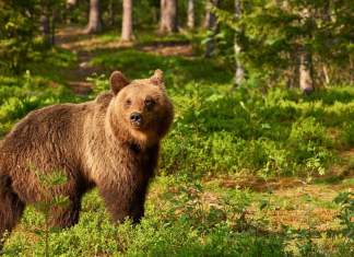 România – inclusă pe lista țărilor de vizitat în 2020