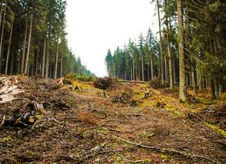 Avertisment dur la Comisiei Europene pentru România