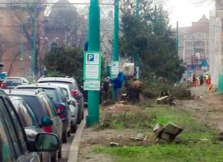 „Dezvoltarea în forță” – prin programul de defrișare urbană propus de primarul Nicolae Robu este nocivă pentru timișoreni! S-a redus drastic spațiul verde din oraș, vital pentru sănătatea publică