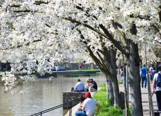 Când și cum mai poți să ieși din casă? Care sunt noile restricții de circulație în România?