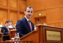 ‘PNL se opune cu fiecare demers tăierilor ilegale de copaci’ susține deputatul Simonis în Parlament