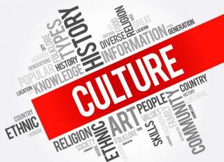 Premieră: CJ Timiș alocă 1,5 milioane lei pentru proiecte culturale online