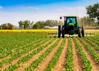 Registrul Agricol 2026: ce trebuie să declare persoanele fizice și juridice din Timișoara