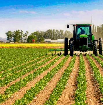 Registrul Agricol 2026: ce trebuie să declare persoanele fizice și juridice din Timișoara