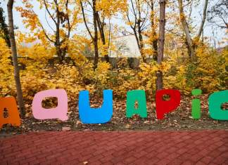 Aquatim și Aquapic de Ziua Mondială a Mediului