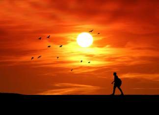 PNL este de acum vechiul PSD. Nu vom mai accepta traseiști politici, spune PSD Timiș