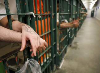 Premieră în PNL Timiș sub conducerea lui Nicolae Robu – un pușcăriaș pe locurile eligibile ale partidului la funcția de consilier județean