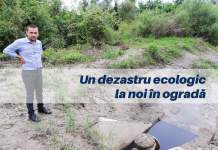 Ce ați face dacă ați afla că tone de deșeuri au fost aruncate în Timiș cu complicitatea administrațiilor și a instituțiilor din județ?