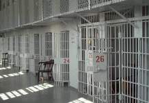 „Pentru Orban și gașca sa din Guvern nu contează viitorul României” – acuzații grave asupra guvernului condus de Ludovic Orban lansate de un deputat de Timiș