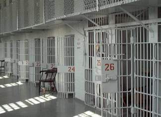 „Pentru Orban și gașca sa din Guvern nu contează viitorul României” – acuzații grave asupra guvernului condus de Ludovic Orban lansate de un deputat de Timiș