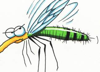 CJ Timiș dă startul „Țânțariadei”. Se stropește pe toate drumurile județene