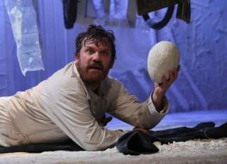 FEST-FDR S.O.S. 2020 – urmează alte patru zile cu spectacole surprinzătoare la Timișoara