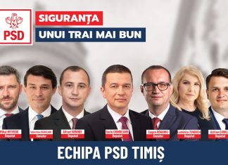 O echipă de bănățeni pentru Timiș (P)