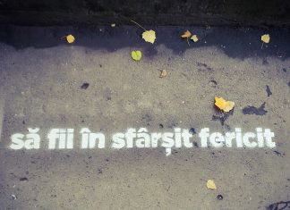 Premieră în România! Timișoara devine primul oraș din România unde trecătorii vor citi poezii, așteptând la semafor