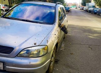 Valuri de vandalizări de mașini în ultima săptămână în Timișoara. Unde au acționat aseară infractorii locali?